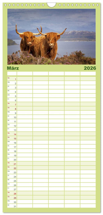 Schottische Hochlandrinder. Freundlich, schön und robust (CALVENDO Familienplaner 2026)