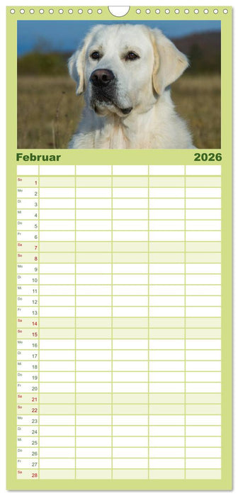 Das Glück hat einen Namen - Golden Retriever (CALVENDO Familienplaner 2026)