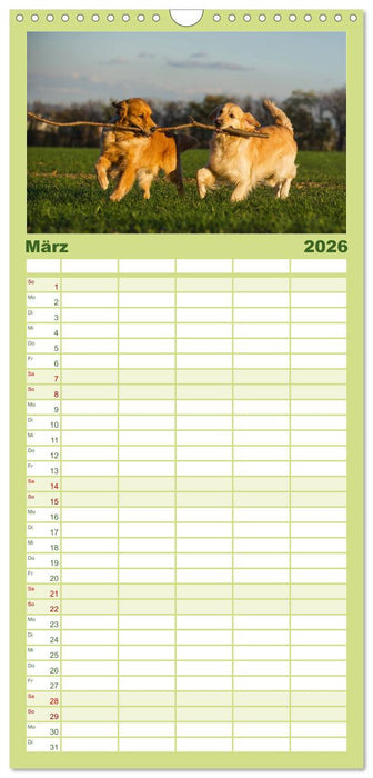 Das Glück hat einen Namen - Golden Retriever (CALVENDO Familienplaner 2026)