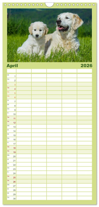 Das Glück hat einen Namen - Golden Retriever (CALVENDO Familienplaner 2026)