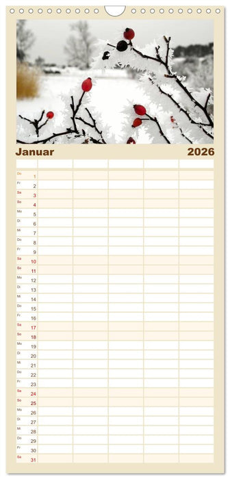 Usedomfotos (CALVENDO Familienplaner 2026)