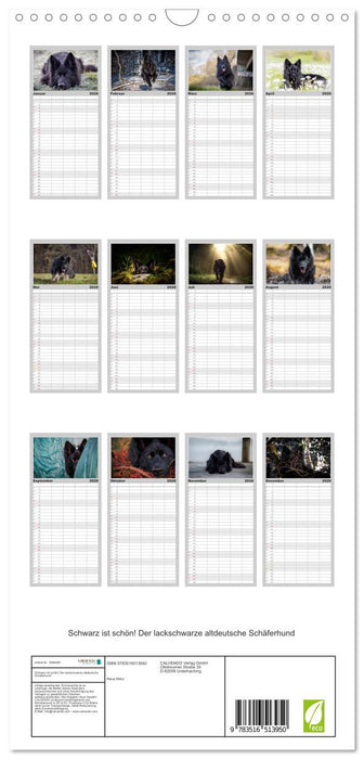 Schwarz ist schön! Der lackschwarze altdeutsche Schäferhund (CALVENDO Familienplaner 2026)