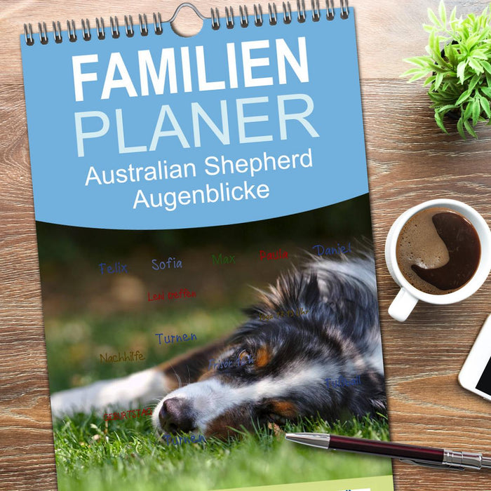Australian Shepherd - Augenblicke (CALVENDO Familienplaner 2026)