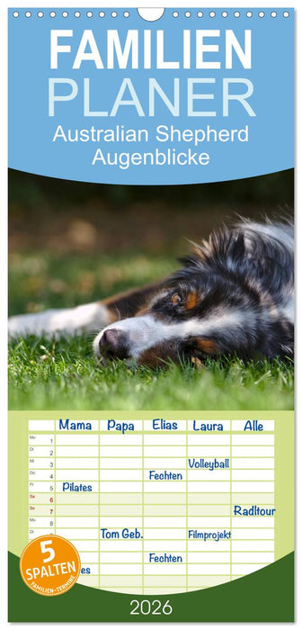 Australian Shepherd - Augenblicke (CALVENDO Familienplaner 2026)