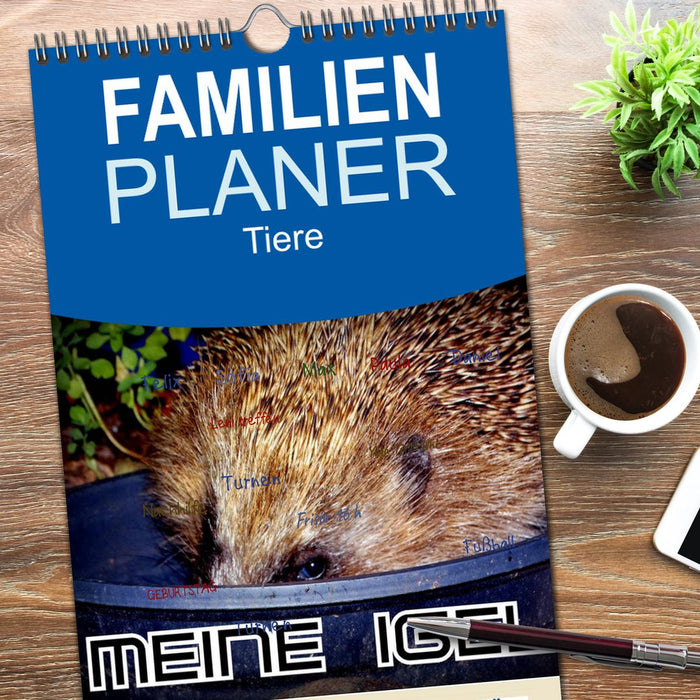 Meine Igel (CALVENDO Familienplaner 2026)