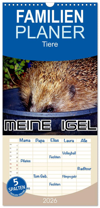 Meine Igel (CALVENDO Familienplaner 2026)