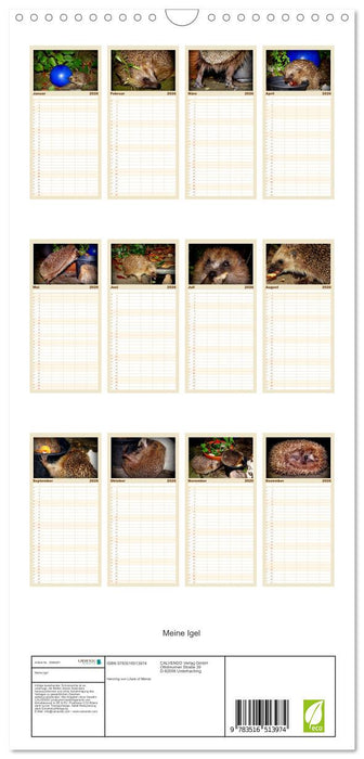 Meine Igel (CALVENDO Familienplaner 2026)