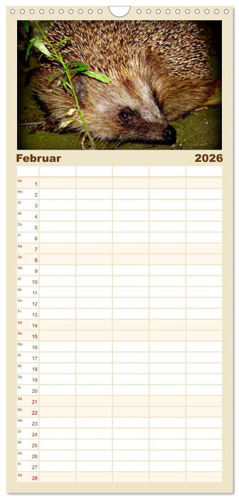 Meine Igel (CALVENDO Familienplaner 2026)