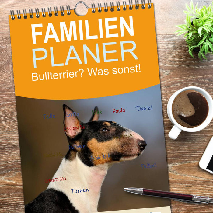 Bullterrier? Was sonst! (CALVENDO Familienplaner 2026)