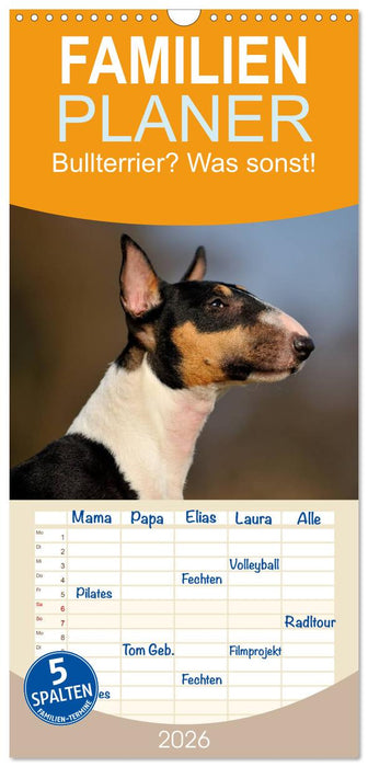 Bullterrier? Was sonst! (CALVENDO Familienplaner 2026)