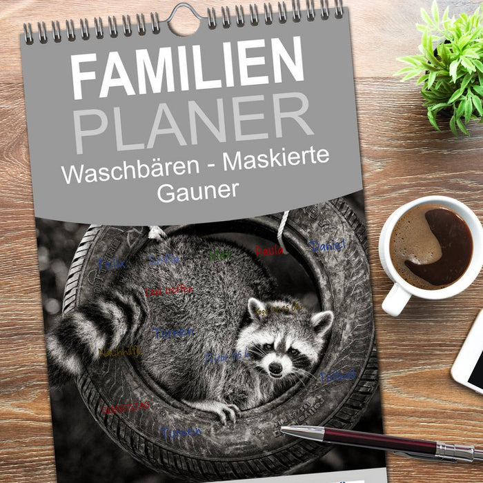 Waschbären - Maskierte Gauner (CALVENDO Familienplaner 2026)