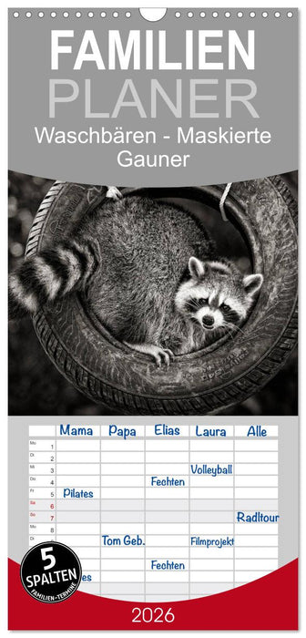 Waschbären - Maskierte Gauner (CALVENDO Familienplaner 2026)