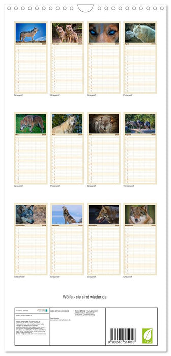Wölfe - sie sind wieder da (CALVENDO Familienplaner 2026)
