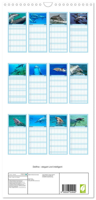 Delfine - elegant und intelligent (CALVENDO Familienplaner 2026)