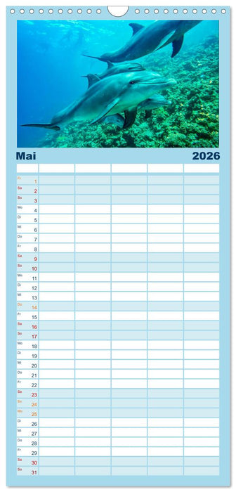Delfine - elegant und intelligent (CALVENDO Familienplaner 2026)