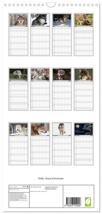 Wölfe. Graue Eminenzen (CALVENDO Familienplaner 2026)