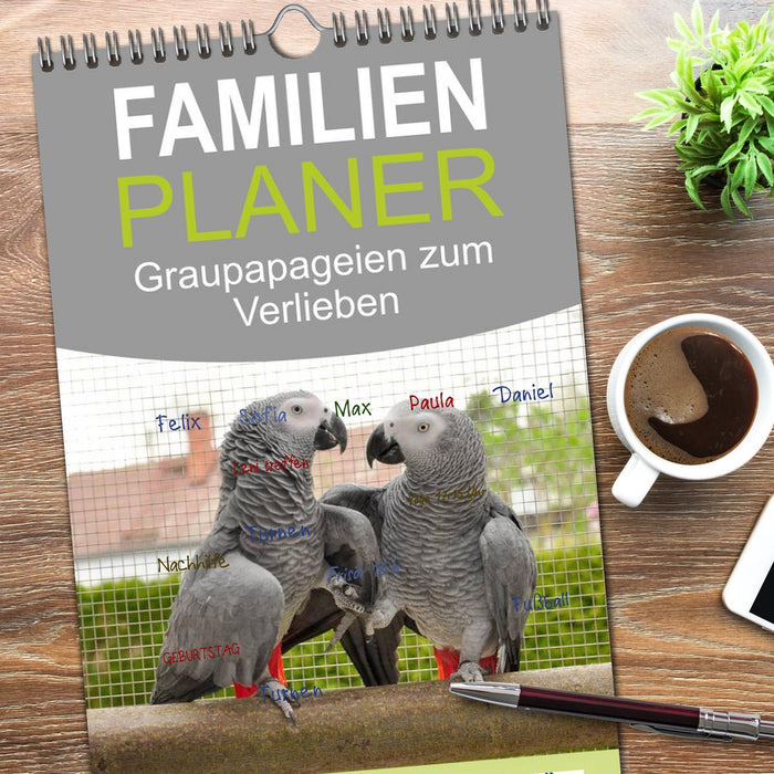 Graupapageien zum Verlieben (CALVENDO Familienplaner 2026)