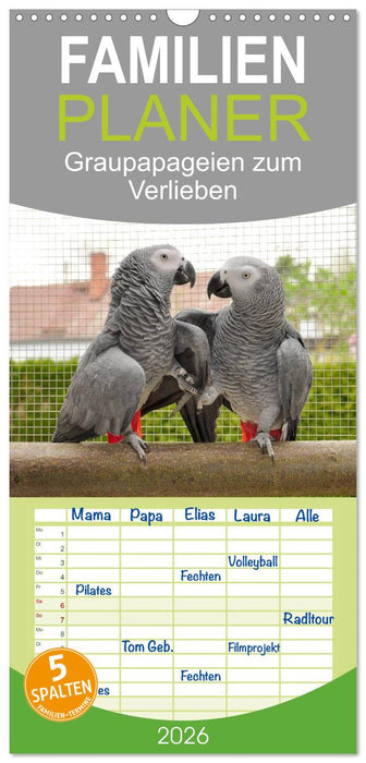 Graupapageien zum Verlieben (CALVENDO Familienplaner 2026)