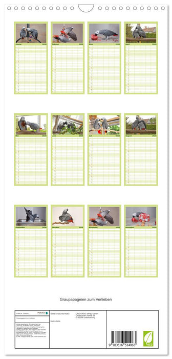 Graupapageien zum Verlieben (CALVENDO Familienplaner 2026)