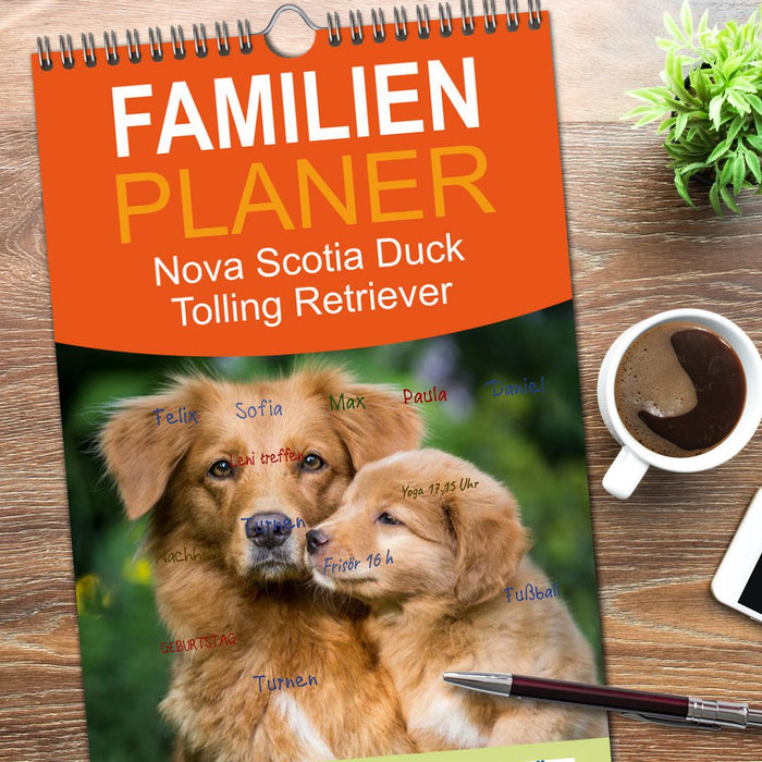 Toller - Nova Scotia Duck Tolling Retriever (CALVENDO Familienplaner 2026)