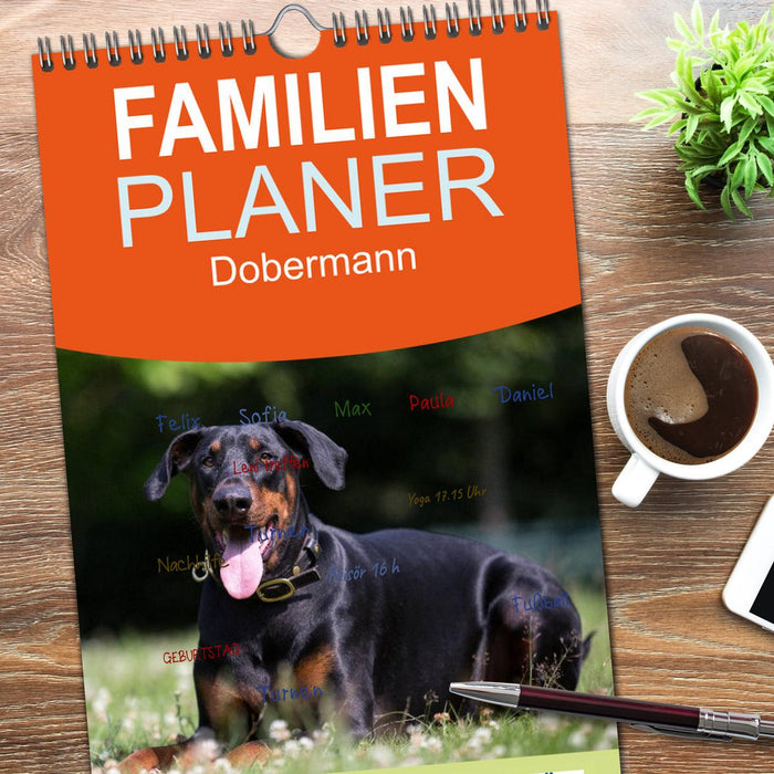 Dobermann (CALVENDO Familienplaner 2026)