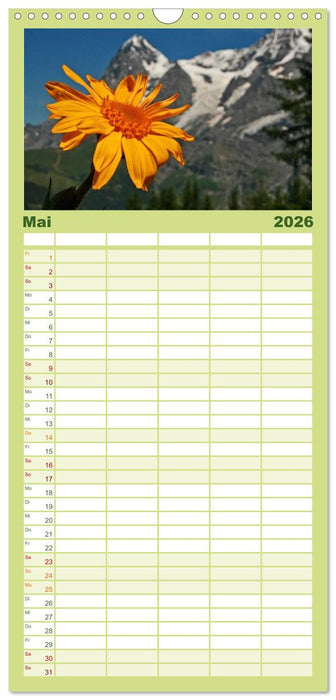 Zauber der Berge. Die Schweizer Alpen (CALVENDO Familienplaner 2026)