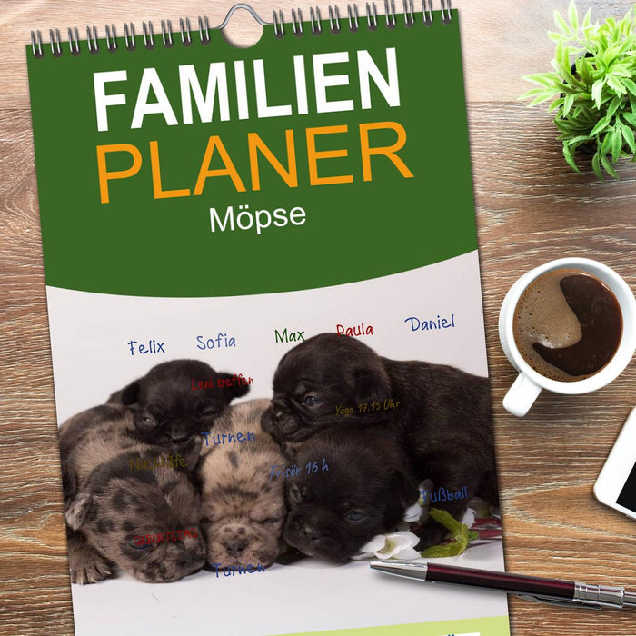 Möpse (CALVENDO Familienplaner 2026)