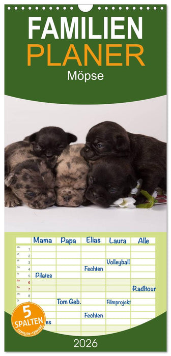 Möpse (CALVENDO Familienplaner 2026)