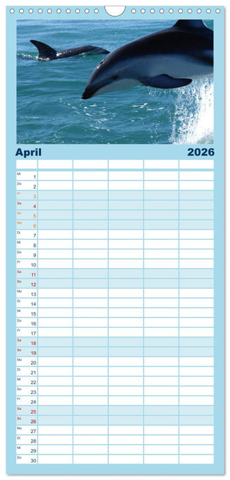 Delfine und Wale (CALVENDO Familienplaner 2026)