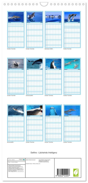 Delfine - Lächelnde Intelligenz (CALVENDO Familienplaner 2026)