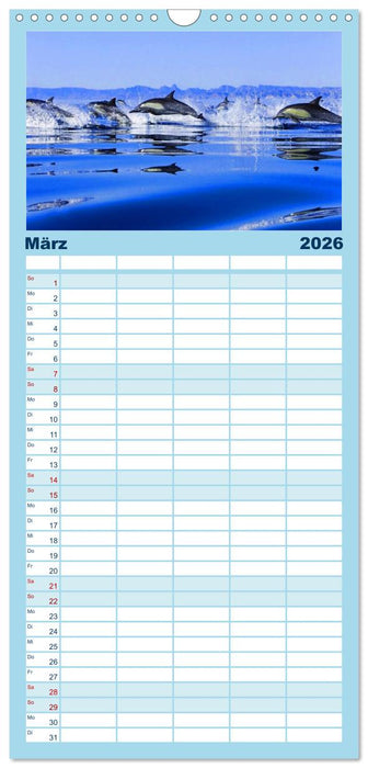 Delfine - Lächelnde Intelligenz (CALVENDO Familienplaner 2026)