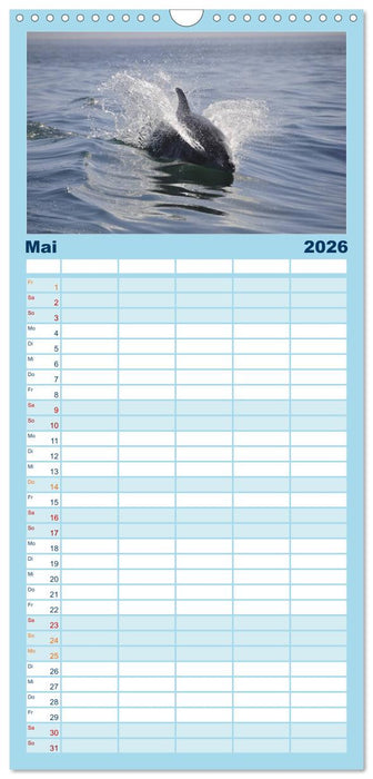 Delfine - Lächelnde Intelligenz (CALVENDO Familienplaner 2026)