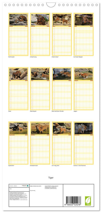 Tiger (CALVENDO Familienplaner 2026)