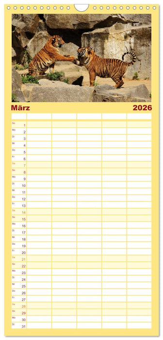 Tiger (CALVENDO Familienplaner 2026)