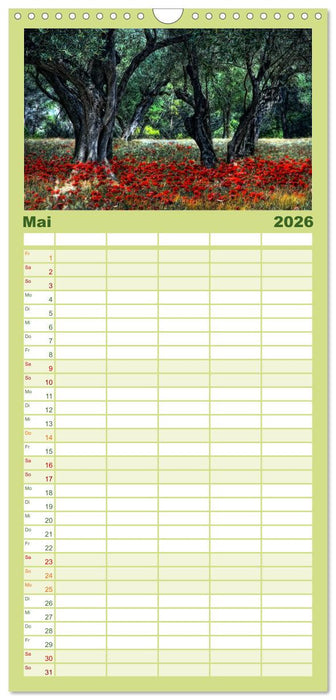 Provence romantique (CALVENDO Familienplaner 2026)