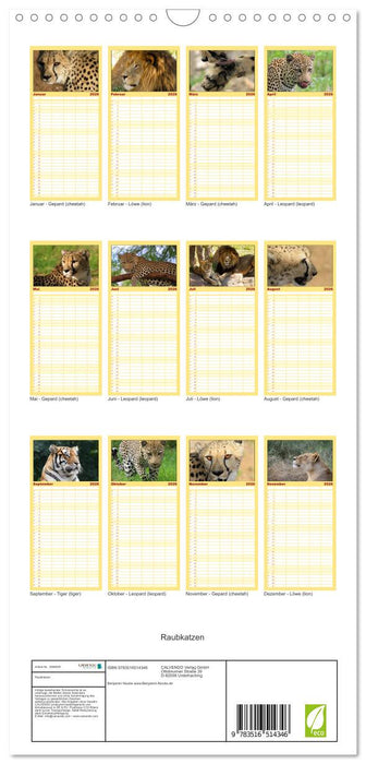 Raubkatzen (CALVENDO Familienplaner 2026)