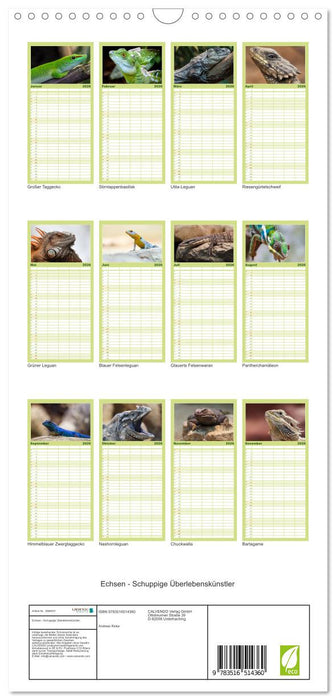 Echsen - Schuppige Überlebenskünstler (CALVENDO Familienplaner 2026)