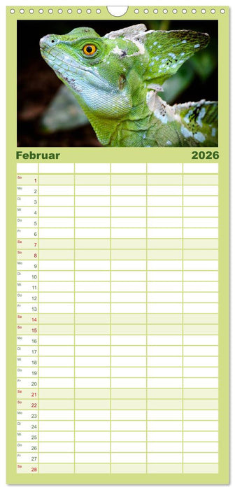 Echsen - Schuppige Überlebenskünstler (CALVENDO Familienplaner 2026)