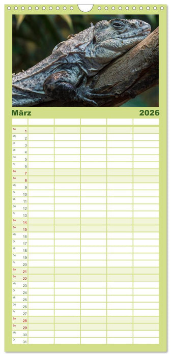 Echsen - Schuppige Überlebenskünstler (CALVENDO Familienplaner 2026)
