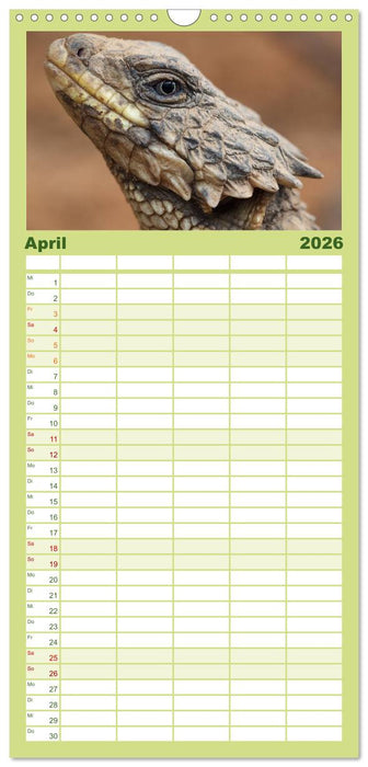 Echsen - Schuppige Überlebenskünstler (CALVENDO Familienplaner 2026)