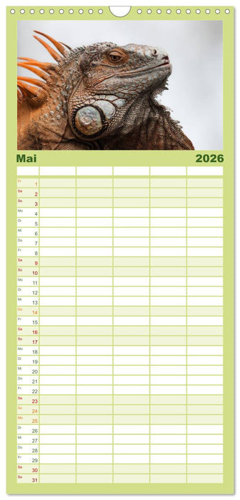 Echsen - Schuppige Überlebenskünstler (CALVENDO Familienplaner 2026)