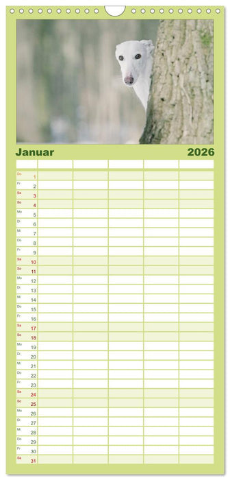 Der Windhundekalender (CALVENDO Familienplaner 2026)
