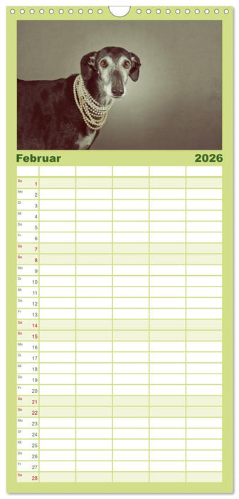 Der Windhundekalender (CALVENDO Familienplaner 2026)