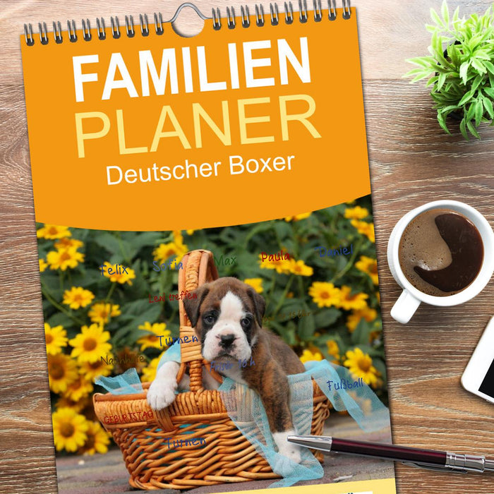 Deutscher Boxer 2026 (CALVENDO Familienplaner 2026)