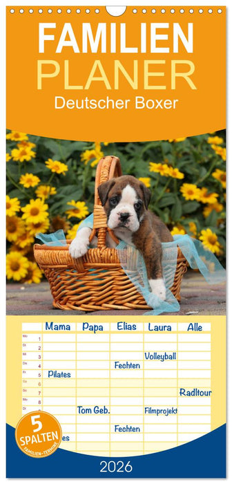 Deutscher Boxer 2026 (CALVENDO Familienplaner 2026)