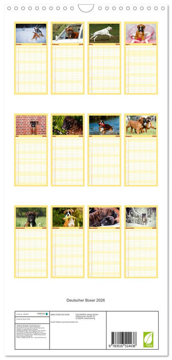Deutscher Boxer 2026 (CALVENDO Familienplaner 2026)