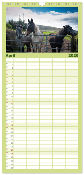 Irland. Wild Atlantic Views. (CALVENDO Familienplaner 2026)