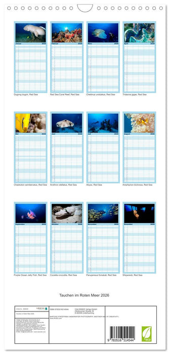 Tauchen im Roten Meer 2026 (CALVENDO Familienplaner 2026)