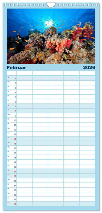 Tauchen im Roten Meer 2026 (CALVENDO Familienplaner 2026)