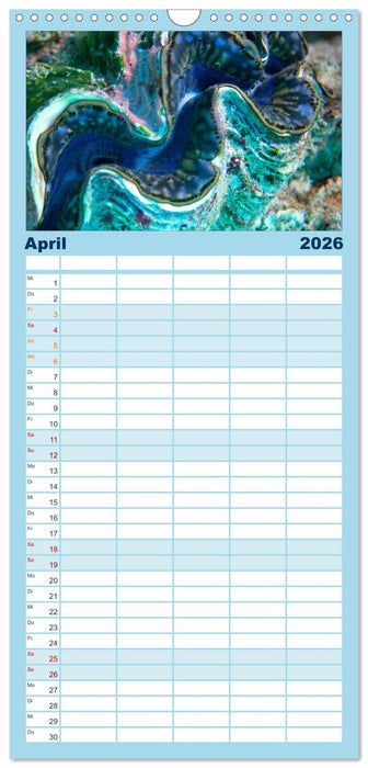 Tauchen im Roten Meer 2026 (CALVENDO Familienplaner 2026)